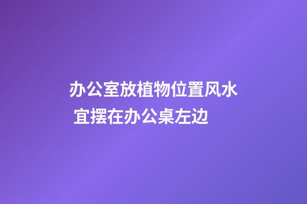 办公室放植物位置风水 宜摆在办公桌左边